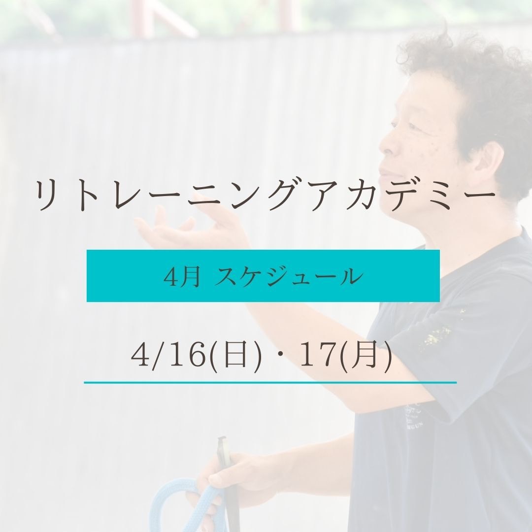 なお様 リピーターご優待ご専用 4月中まで 売り出しネット schoolture.info